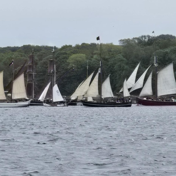 Rumregatta_2026_3