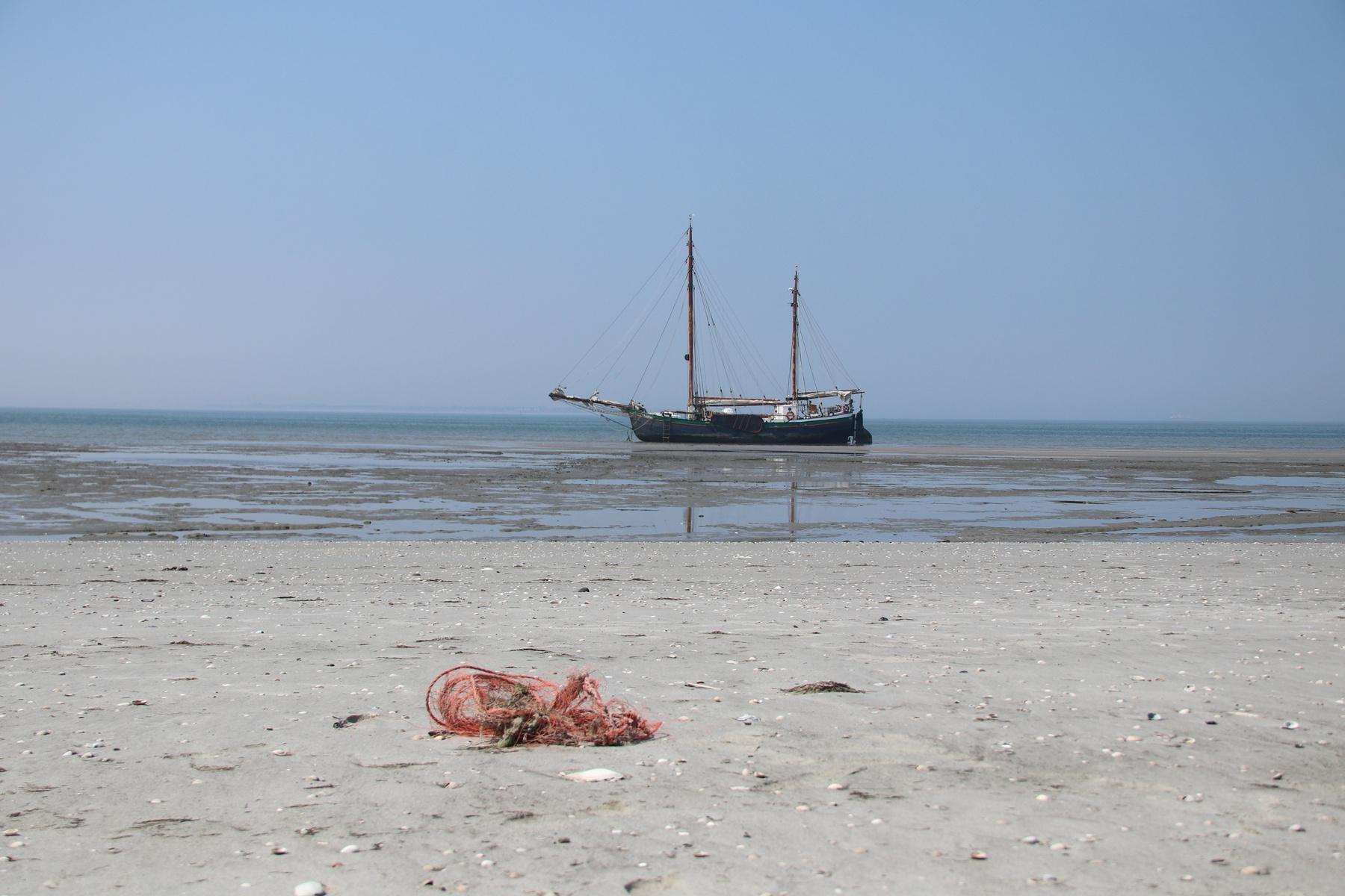 WIM8