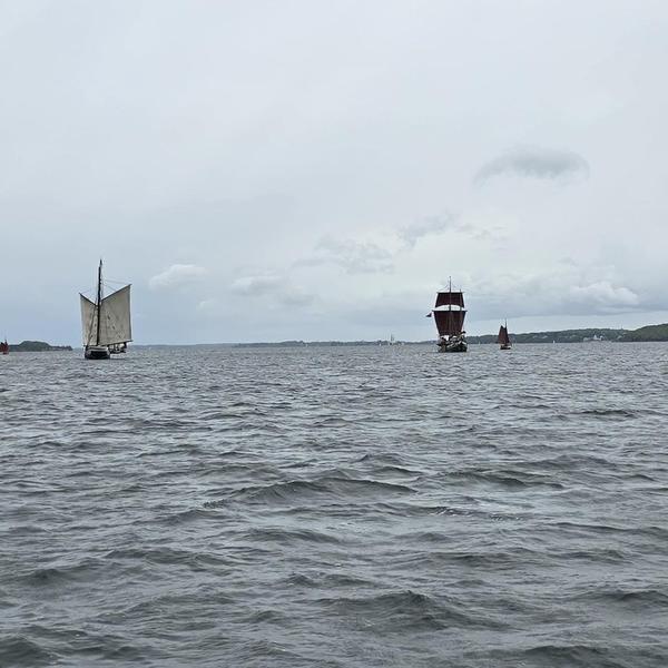Rumregatta_2026_2