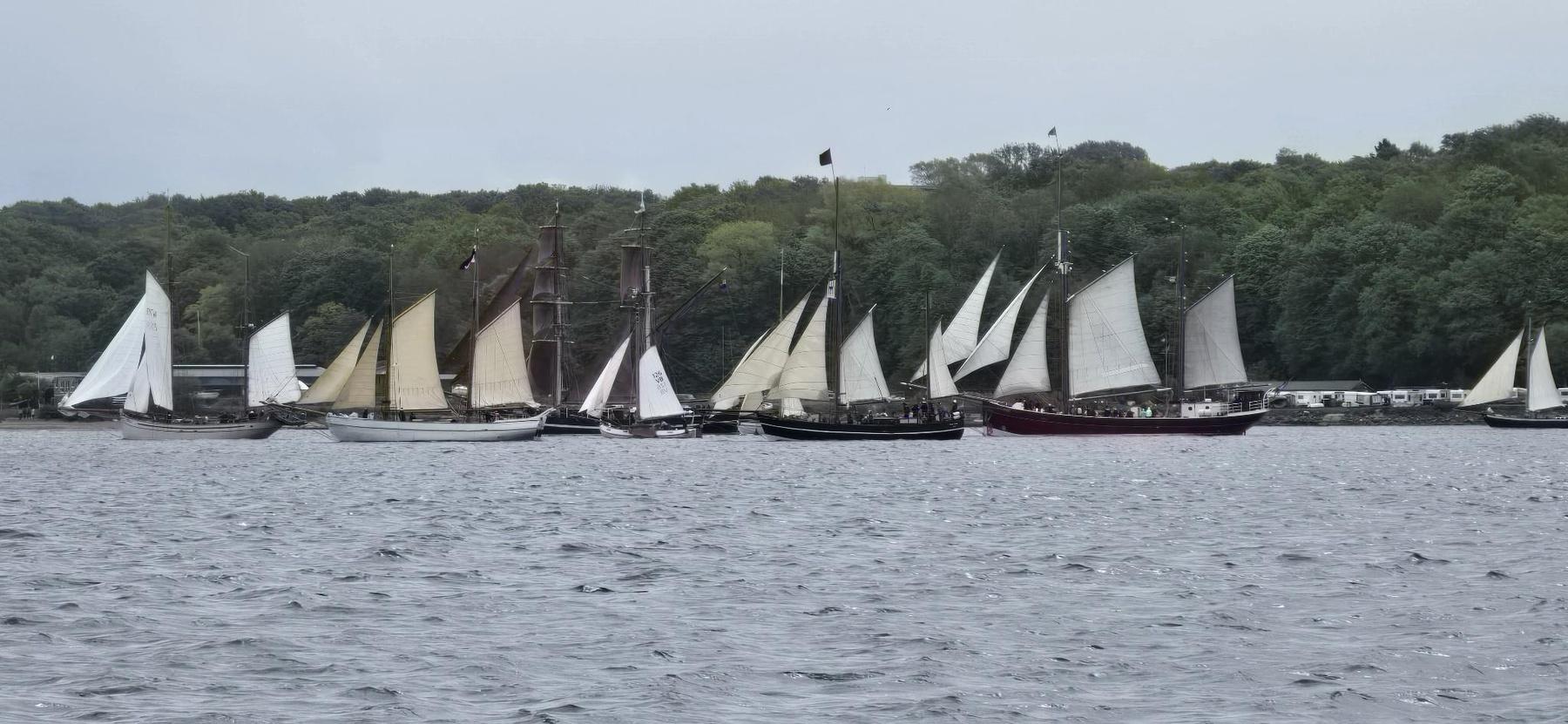Rumregatta_2026_3